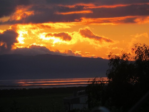 Cotswold Cottage Bed and Breakfast image 20