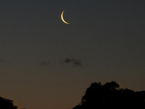 Cotswold Cottage Bed and Breakfast image 28